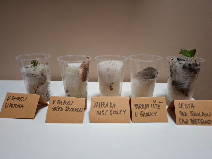 POKUSY SE SNĚHEM, KTERÝ JSME SEBRALI OKOLO ŠKOLKY