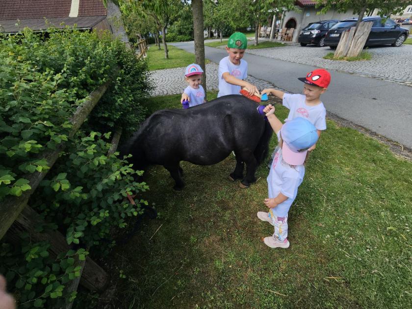 farma Moulisových