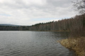 Obecnický rybník - Octárna