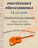 hudební vystoupení na akci